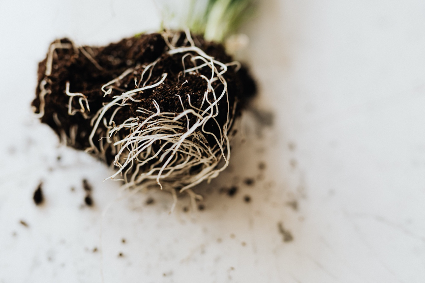 storing coffee grounds, used coffee