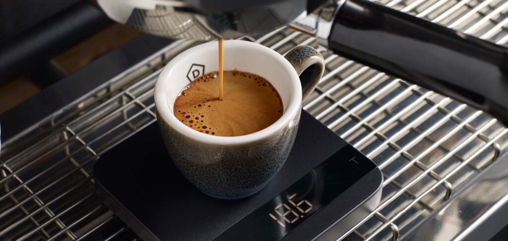 Danes Specialty Coffee Institute - Barista Guild Courses