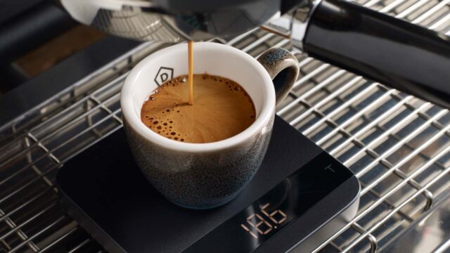 Danes Specialty Coffee Institute - Barista Guild Courses